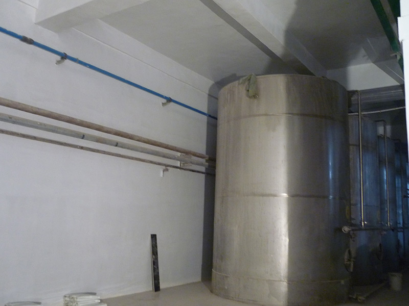 P1000927.JPG